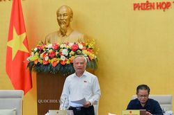 Phiên họp 48 UBTVQH: Xử lý tội phạm cần phải có cách nhìn tổng thể để đánh giá