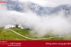Đẹp ngây ngất mùa vàng Tây Bắc