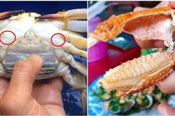 Muốn chọn ghẹ tươi ngon, nhiều thịt cứ ấn nhẹ vào điểm này, đảm bảo 'bách phát bách trúng'