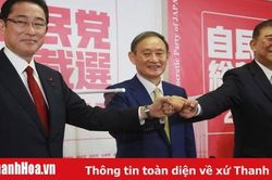Kế thừa di sản Abe sẽ là bước đi khôn ngoan của Tân Thủ tướng Nhật Bản?