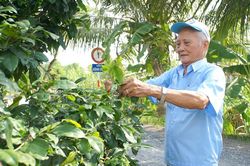 Người lính quân y làm kinh tế giỏi