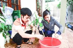 Ngăn chặn bệnh sốt xuất huyết lây lan ở cộng đồng