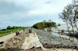 Cà Mau giải trình, kiến nghị liên quan Kết luận của Kiểm toán Nhà nước về xây dựng đê biển Tây