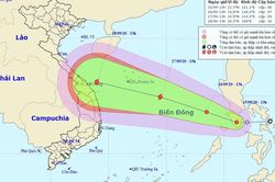 Lên kịch bản ứng phó với áp thấp nhiệt đới khả năng mạnh lên thành bão trên biển Đông