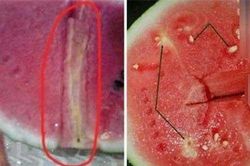 Bổ dưa thấy 4 dấu hiệu bất thường hãy vứt bỏ, chớ ăn kẻo rước bệnh
