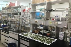 VKIST triển khai nghiên cứu bốn nhóm công nghệ chủ lực