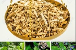 Bài thuốc phòng và hỗ trợ trị sốt rét