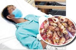 Hiểm họa chết người từ ốc lạ