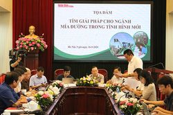 Tìm giải pháp cho ngành mía đường trong tình hình mới