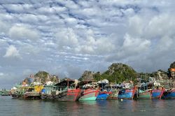 1.031 tàu thuyền đang di chuyển về bờ hoặc thoát khỏi khu vực nguy hiểm