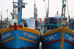 Đà Nẵng vừa ứng phó bão số 5, vừa phòng chống dịch COVID-19