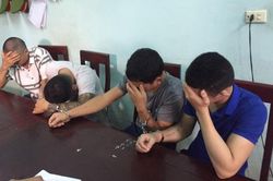 Bắt nhóm 'cẩu tặc' ở Nghệ An mỗi đêm trộm gần nửa tấn chó