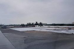Kim Thành (Hải Dương): Công ty Thành Công đang xâm phạm nghiêm trọng hành lang thoát lũ