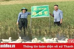 Huyện Hà Trung nhân rộng mô hình cá – lúa