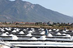 Xây dựng kế hoạch sản xuất muối giai đoạn 2021 - 2025