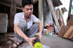 Người dân Thủ đô điêu đứng bởi nước sinh hoạt nhiễm mùi sắt