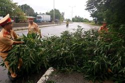 Quảng Nam nghiêm cấm tàu thuyền ra khơi để phòng chống bão