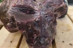 Ngư dân lặn biển nhặt được khối đá nghi là long diên hương