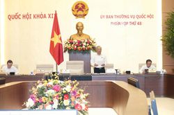 Phát hiện nhiều quy định chồng chéo, mâu thuẫn, không phù hợp thực tiễn