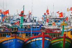 Các địa phương chủ động ứng phó bão số 5