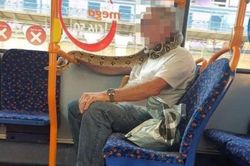 Kinh hãi quý ông đeo trăn khủng... chống COVID-19, cả xe bus choáng