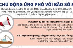 Các địa phương chủ động ứng phó với bão số 5