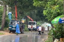 Học sinh Quảng Nam, Đà Nẵng được nghỉ học để tránh bão số 5