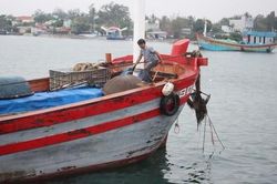 Hơn 12.000 ngư dân Quảng Nam, Quảng Ngãi còn ở ngoài khơi