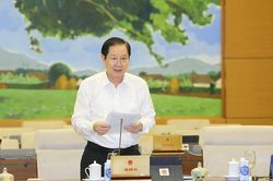 UBTVQH thông qua Nghị quyết thành lập thành phố Hồng Ngự, tỉnh Đồng Tháp