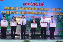 Xã đầu tiên khu vực phía nam đạt chuẩn nông thôn mới kiểu mẫu