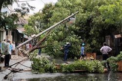 Mưa lớn, nhiều tuyến đường Đà Nẵng ngập sâu, cây xanh gãy đổ