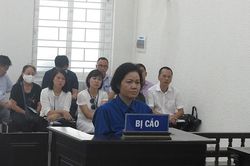Lừa đảo chiếm đoạt tài sản, nữ giảng viên đại học lĩnh án tù