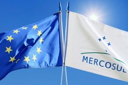 Pháp tái khẳng định quan điểm phản đối thỏa thuận EU-MERCOSUR