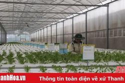 Thương hiệu quyết định giá trị nông sản