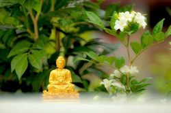 Các hành thanh lọc tâm : Bố thí, trì giới & hành thiền