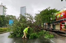 Bão số 5 áp sát: Lốc xoáy quật đổ cây ở Huế, Đà Nẵng mưa lớn kèm sấm chớp