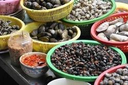 Từ vụ ngộ độc ốc ở Khánh Hòa, những lưu ý khi ăn ốc mọi người nhất định đừng quên nếu không muốn tử vong
