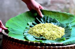 Quà thu Hà Nội