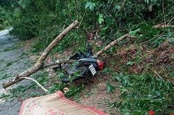 1 người chết, 1 người mất tích, hơn 100 người bị thương, hàng chục nghìn nhà tốc mái do bão