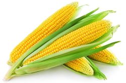 Bất ngờ với những lợi ích sức khỏe từ bắp ngô