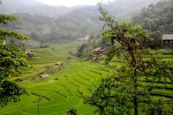 Chuyện tình dưới chân thác 'Văng Táng Tinh'
