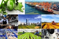 Chúng ta có sánh vai với các cường quốc năm châu được hay không?
