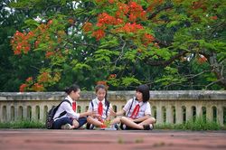 Dắt em đi khai giảng...