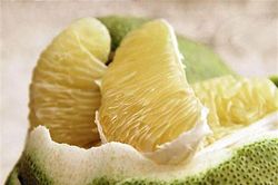 Bưởi Phúc Trạch vào mùa thu hoạch