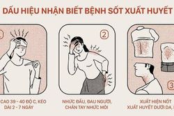 Theo dõi các mức độ của sốt xuất huyết, tránh tử vong