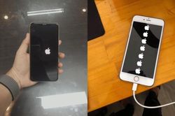 Sau khi nâng cấp iPhone của mình lên iOS 14, chàng trai này nhận được hẳn... 7 trái táo