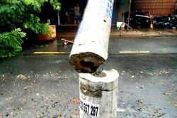 EVN phản hồi nghi vấn 'cột điện không có cốt sắt'