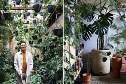 Ngắm 'rừng trong nhà' độc đáo của kiến trúc sư 32 tuổi