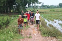 Người dân huyện lúa Nghệ An đi săn chuột đồng 'đặc sản' vui như hội