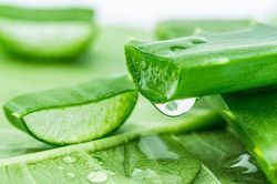 Những loại thực phẩm có thể gây sảy thai mẹ nào cũng cần biết